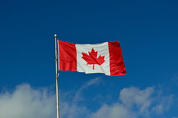 canada flag, pole, blue, white, sky, daytime, canadian flag, canada, maple, country, immigration