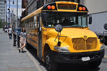 bus, state, transportation, transport, travel, public, vehicle, street, city, tourist, passenger