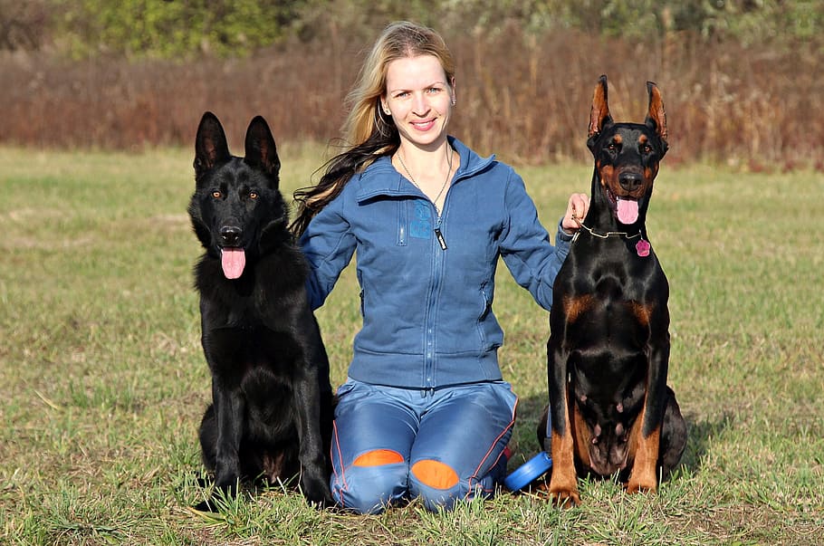 woman, sitting, doberman pinschers, green, grass, daytime, doberman, black german shepherd, blonde woman, love, friendship