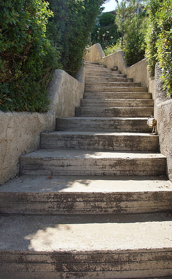 šedá, beton, schody, rostlin, během dne, fotografie, kámen, schodiště, kamenné schody