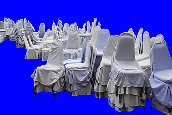 assorted-color chair lot, chairs, blue, white, interior, furniture, dust sheet, domestic, residential, decoration, decor