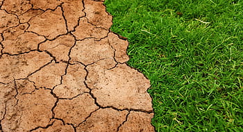 green grass, global, warming, climate, change, soil, drought, ground, arid, nature, grass