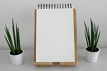 bílý, spirála notebook, vydržet, vedle, dva, lineární, listové rostliny, hnědý, Schránka, zelené rostliny, notebook