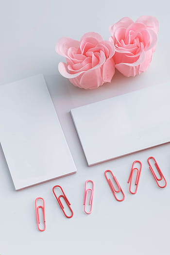 wenig, Blätter, Papier-, Rosa, Büroklammern, rosa Papier, weiblich, Rosen, minimal, kopieren sie platz, leeren