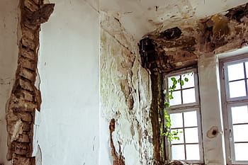 opuštěný, prostor, mech, plíseň, opuštěný prostor, architektura, stará budova, starý, historicky, zanechat, opustit, propadl