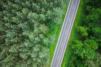 antena, vista, solitário, estrada, bosques, Vista aérea, Lonely Road, na floresta, fotografia por drone, zangões, floresta