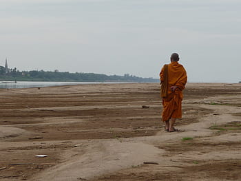 monk, walking, soil, water, forest, buddhism, religious, meditation, buddhist, people, men