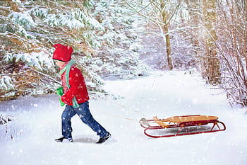 child, red, long-sleeved, winter, top, pulling, brown, snow sled, winter background, christmas background, sled