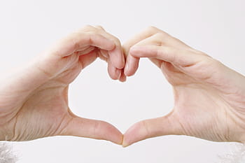 person, heart gesture, hands, woman, heart, symbol, female, finger, characters, love, human Hand