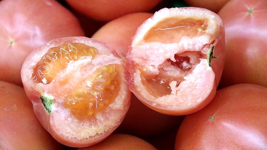 rajče, sekce, ovoce, zeleniny, čerstvá zelenina, oříznutí, materiál, biologický, ganic