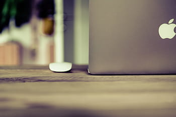 otevřeno, stříbrná macbook, dřevěný, povrch, magie, myš, stříbrný, macbook, horní, stůl, laptop