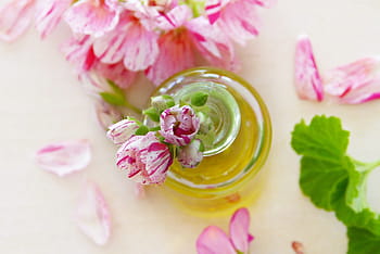 white-and-pink petaled flower, oil, geranium, leaves, flowers, essential oils, fragrance, bless you, aroma, aromatherapy, pink