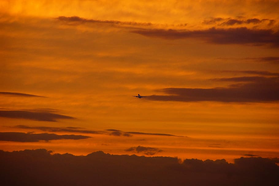 auringonlasku, aamunkoitto, taivas, siluetti, aurinko, lentokone