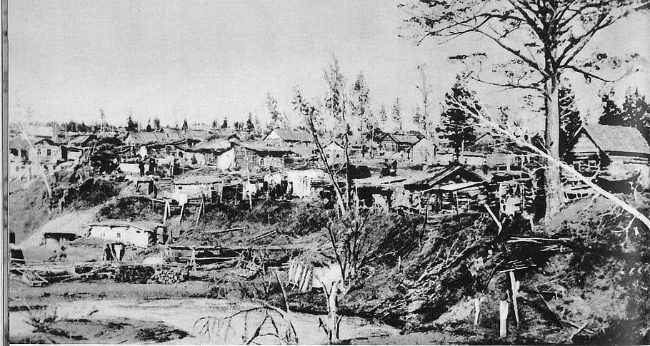 1895, novonikolayevsk, Novosibirsk, Russia, foto, dominio pubblico, bianco e nero, arte visiva, arte e intrattenimento, tempo, concetti e idee