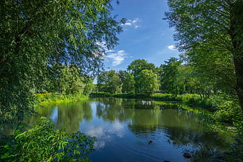 corpo, acqua, circondato, alberi, verde, foglia, lago, pianta, natura, riflessione, paesaggio