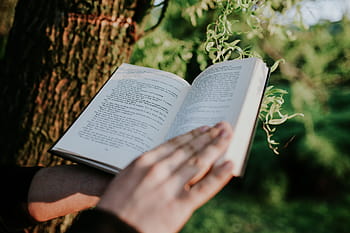 hombre leyendo, libro, al aire libre, hombre, lectura, manos, afuera, soleado, literatura, biblia, religión
