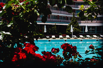 verano, agua, vacaciones, piscina, natación, agua azul, azul, rasgado