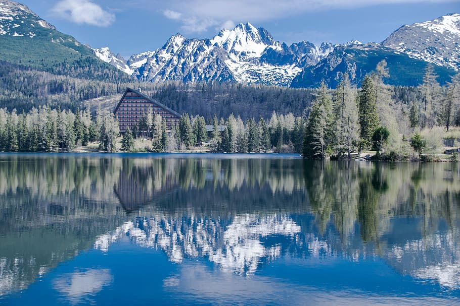 odraz, borovice, Dům, tělo, voda, pleso, vysoké tatry, slovensko, jezero, Příroda, panoráma