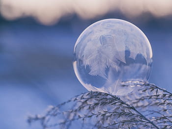 macro photography, clear, glass bauble, feather, dream, catcher, nature, leaf, dream catcher, round, circle