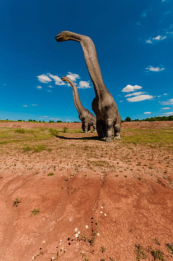 Două, apatosaurus 3, 3d, model, dinozaur, rangă, mamifer, dispărut, dino, balaur, natural