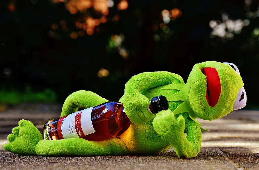 kermit, frog, hugging, wine bottle, wine, drink, alcohol, drunk, rest, sit, figure