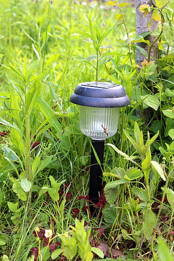 light, solar, nature, outdoor, power, lamp, illumination, energy, garden, decoration, green