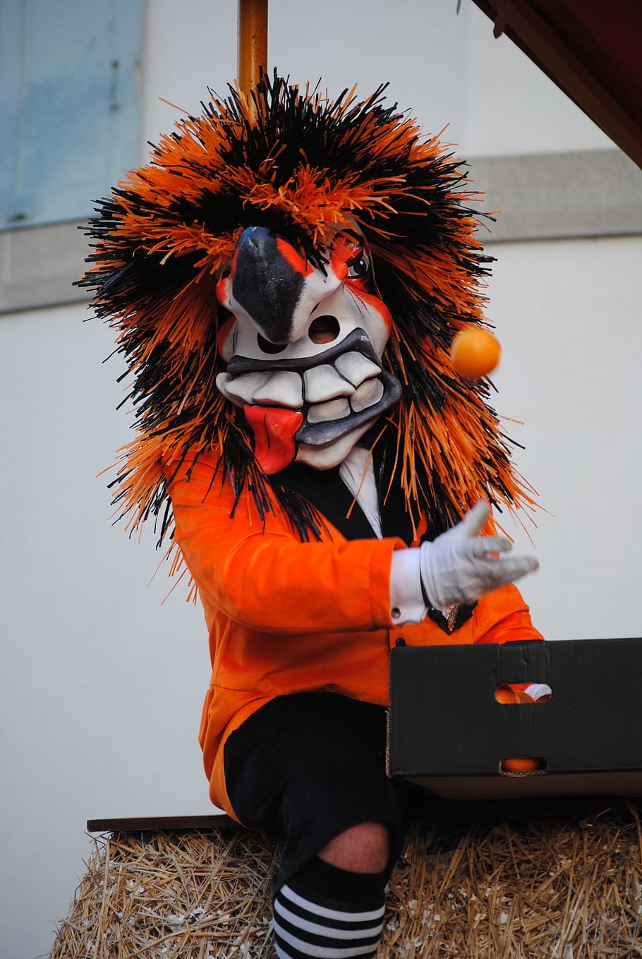 マスク、 ワギス、 オレンジスロー、 カーニバル、 Basler fasnacht 2015