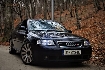 schwarz, Audi Limousine, geparkt, Mitte, Wald, audi, deutsches Auto, Motor-, Auto, Design, Fahrt