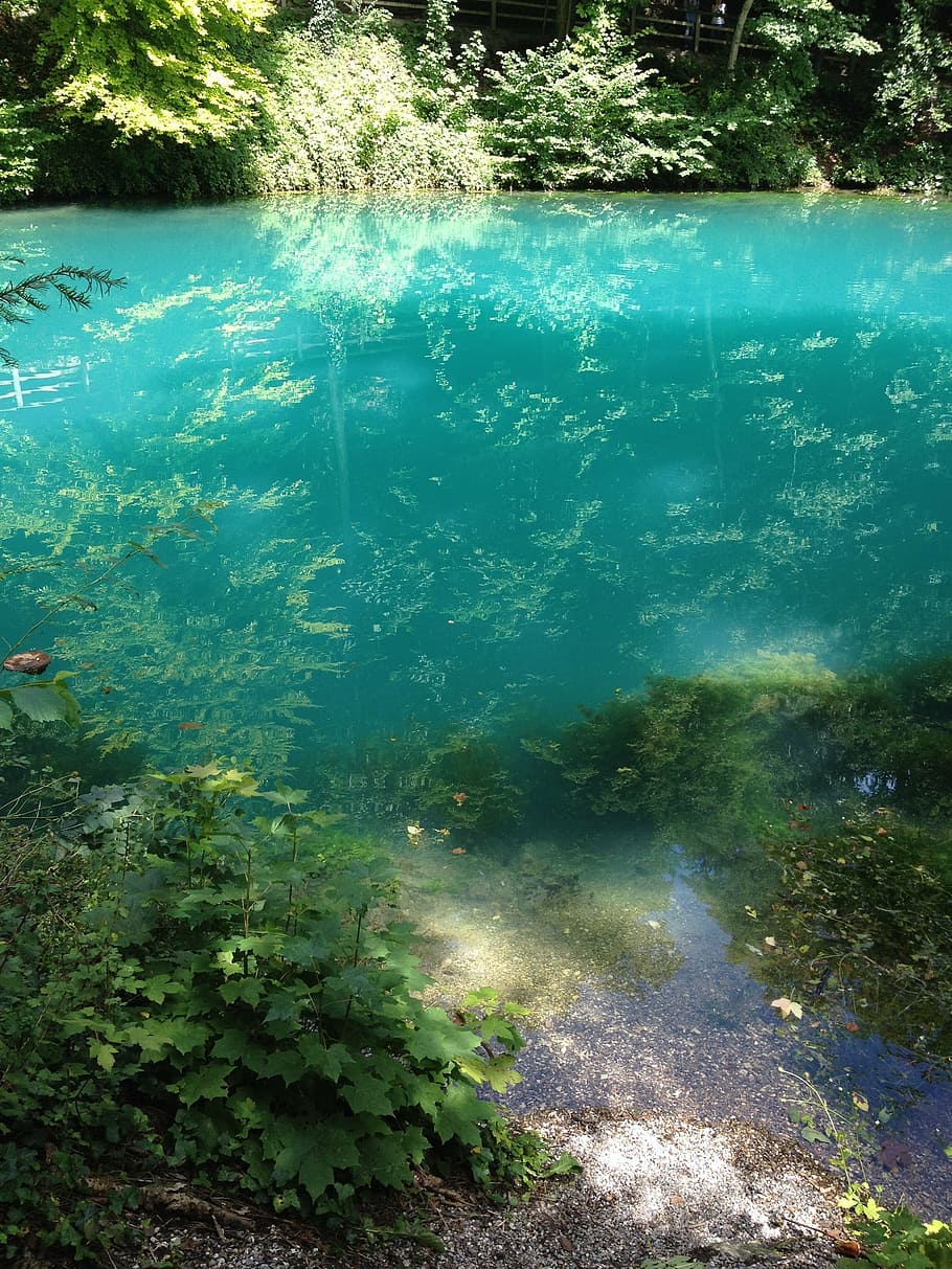 natura, Blautopf, acqua, foresta, turchese, mirroring