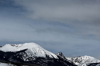 la neve, inverno, bianca, freddo, tempo metereologico, ghiaccio, alberi, piante, natura, boschi, foresta