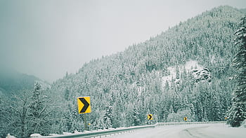 mountain, landscape, peak, summit, snow, trees, pines, view, aesthetic, rocks, fog