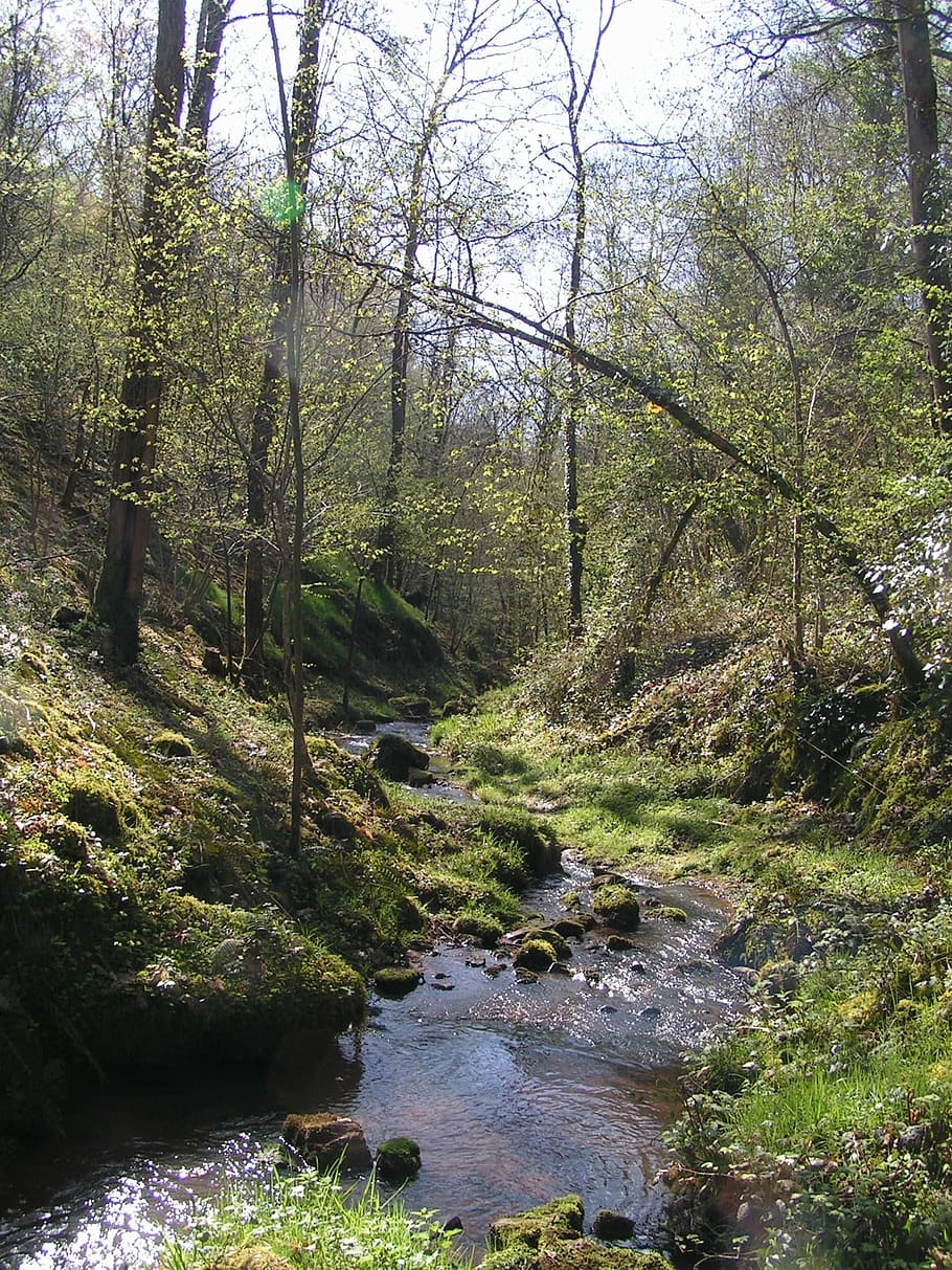 collonges-la-rouge, corrèze, creek