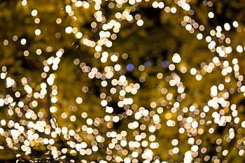 bokeh světla rozostření fotografie, světla, Dovolená, Jasný, záře, slavit, design, sezónní, slavnostní, lesklý, rozmazat