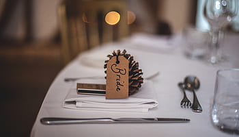 events, wedding, venue, table, spread, setting, name, tags, labels, cone, conifer