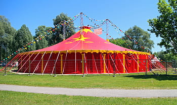 sárga, piros, baldachin sátor, kék, ég, ejtőernyőkupola, sátor, kék ég, cirkusz, cirkuszi sátor, rét