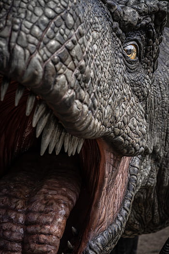 t rex, dinosauro, dino, tirannosauro, predatore, rettile, carnivori, rex, estinto, pericoloso, mostro