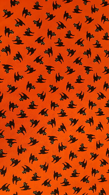 arancia, sfondo, tessuto stampato a gatto, gatti, Halloween, vacanza, design, orrore, autunno, nero, zucca