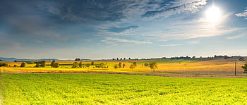 verde, camp, copaci, albastru, cer, peisaj, primăvară, câmpuri, rază de soare, nori, copac