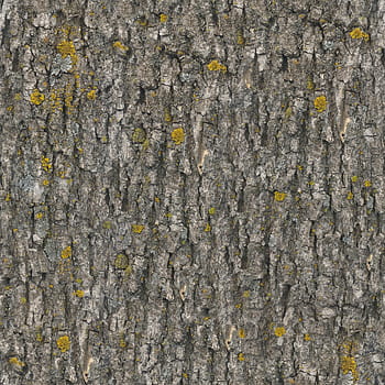 brown tree bark, texture, seamless, tileable, seamless pattern, bark, tree, log