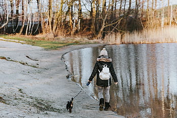 散歩、 湖、 湖のそば、 水、 犬、 白鳥、 アウトドア、 人々、 子供、 自然、 冬