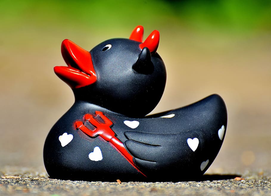 Devil, Duck, Rubber, Cute, quietscheente, pair, shoe, black color, red, flower