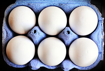 six, white, eggs, purple, tray, egg, egg carton, white eggs, hen's egg, food, egg box