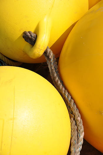 Sea, Safety, Life Buoy, Equipment, buoy, background, water, rescue, nautical, security emergency, rope