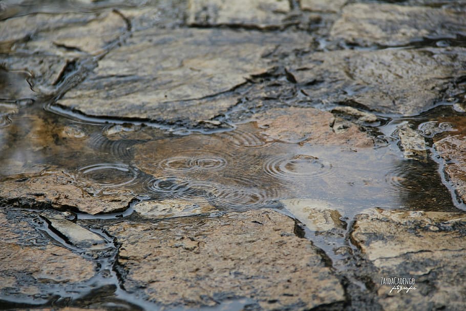 rain, water, take it easy, peaceful, nature, calm, summer, soledad, reflection, walk, architecture
