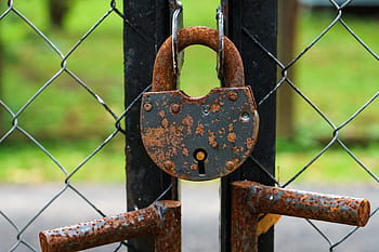 padlock, gate, closed, locking, metal, old, rusty, rust, locks, padlocks, entrance