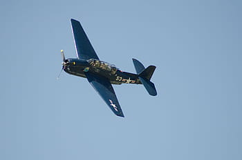 warbird, vrtule, letoun, letadlo, vzduch, vojenský, starý, vinobraní, retro, nebe, válka