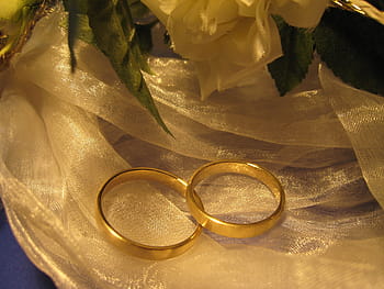 Due, anelli color oro, bianca, tessile, nozze, anelli, squillare, amore, insieme, prima, gioielli