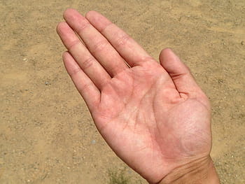 Palm, Hand, Finger, Bleaching, palm reading, young, japanese, people, body, parts, health