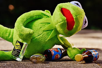 kermit, frog, drink, alcohol, drunk, rest, sit, figure, funny, frogs, animal