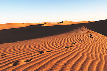 landscape shot, desert sand dunes, Landscape, shot, desert sand, sand dunes, Africa, nature, heat, natural, travel